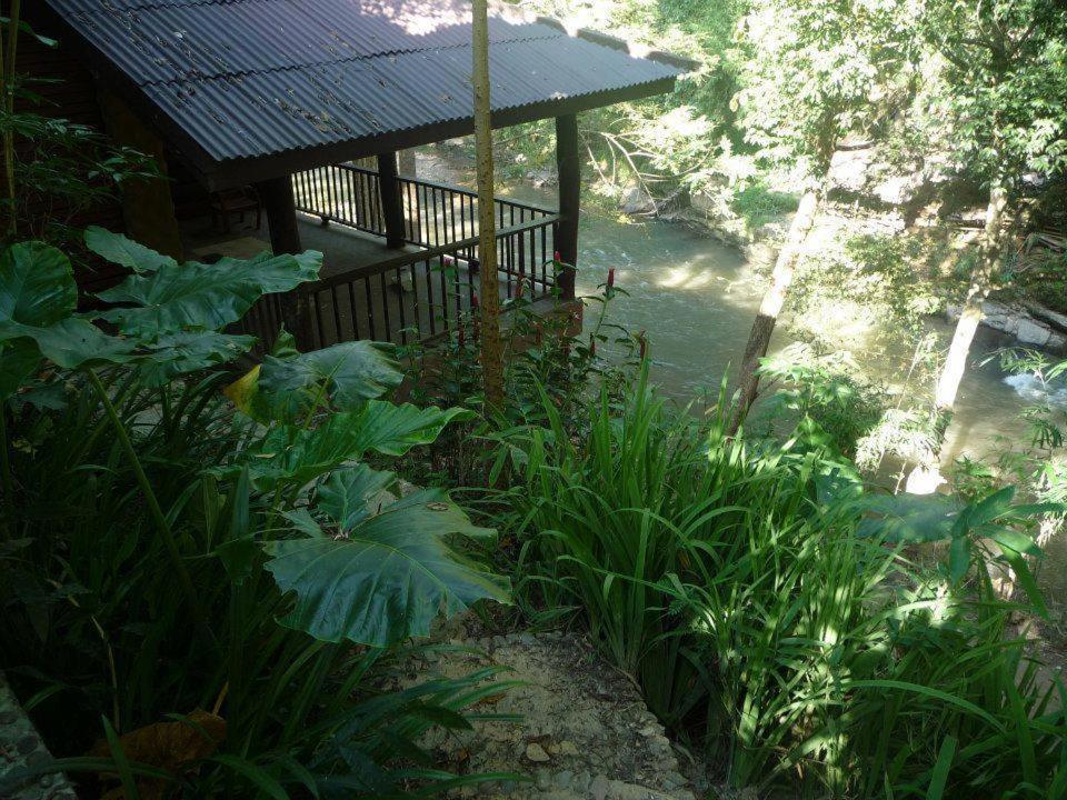 The Chai Lai Orchid Hotel Chiang Mai Ruang foto
